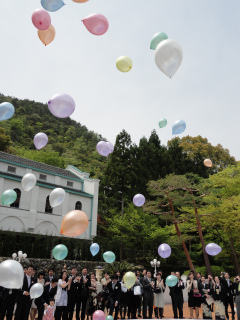DSC01181.jpg
